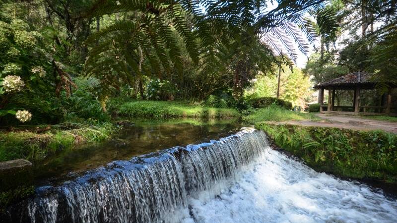 Tudo o que você precisa saber sobre Campos do Jordão - SP