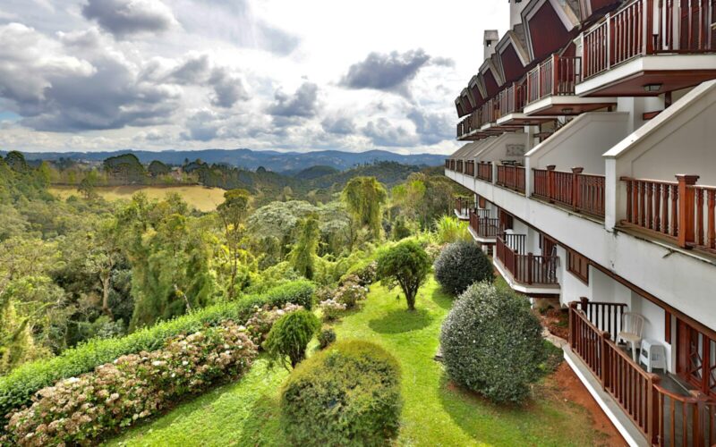 home home green home (41)