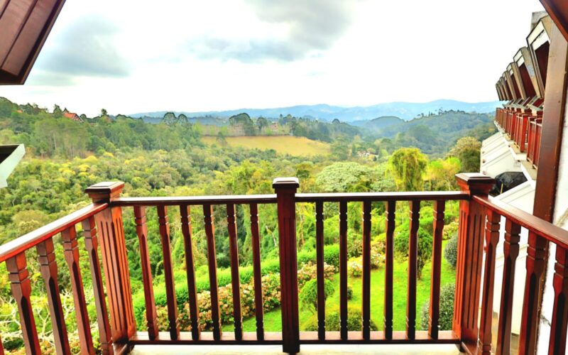 home home green home (42)